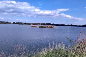 Ptačí ostrůvky